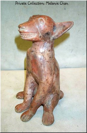 012 Pre-Columbian Perro sin Pelo.jpg