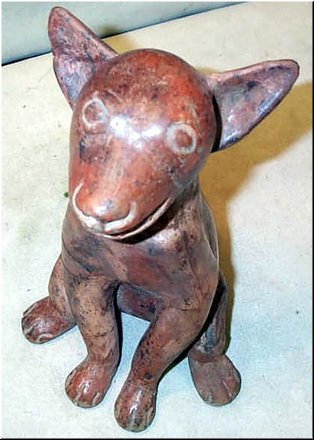 013 Pre-Columbian Dog (head).jpg