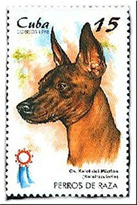 015 Postage Stamp Cuba.jpg