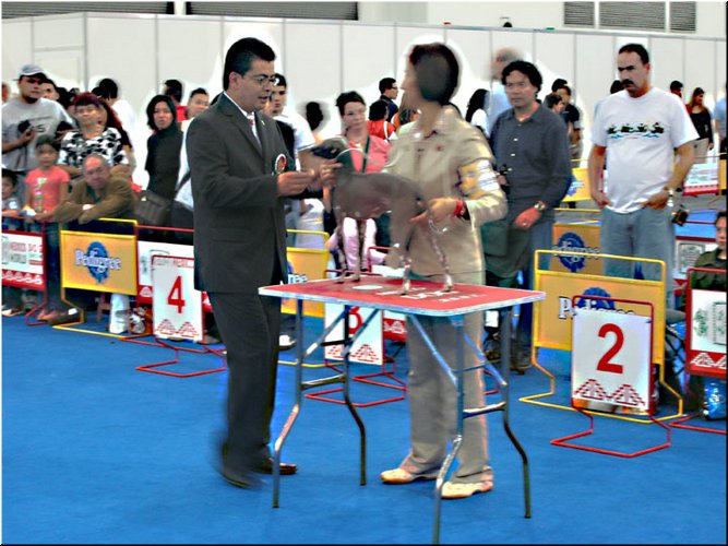 7046 WDS Viv (27.5.07).jpg