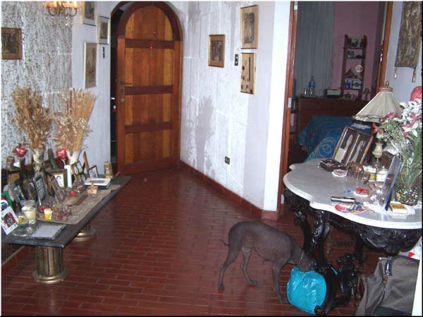 3214 Juani's Home (24.11.06).jpg