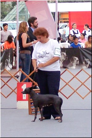3280-1 ED (26.11.06).jpg